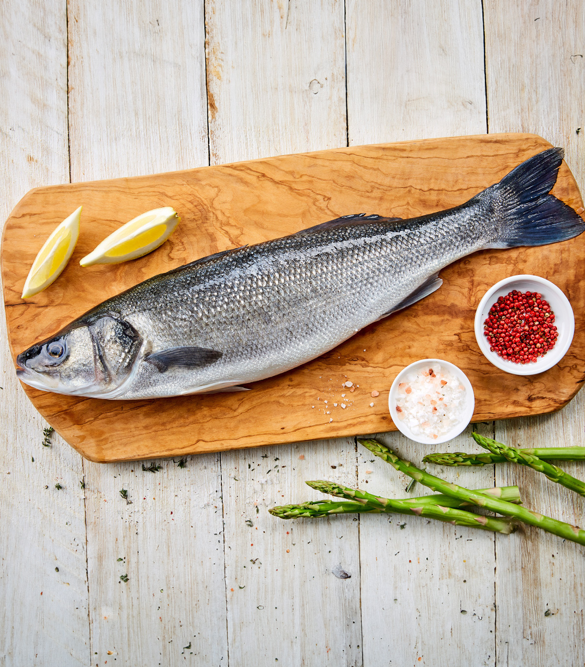 European seabass
